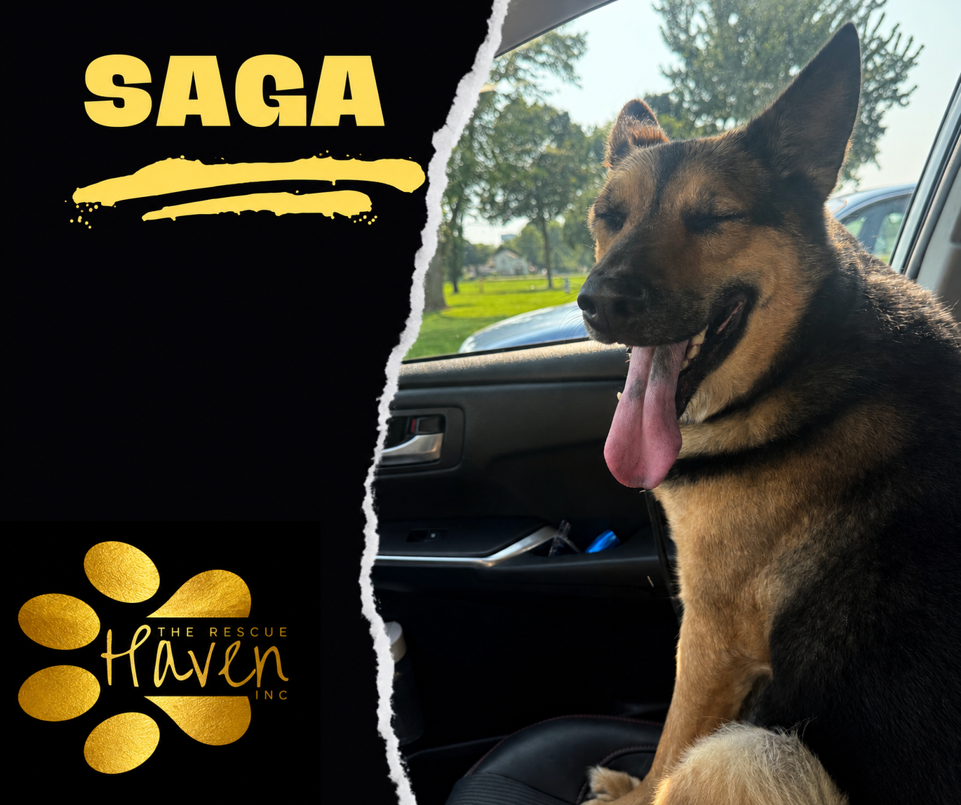 Saga