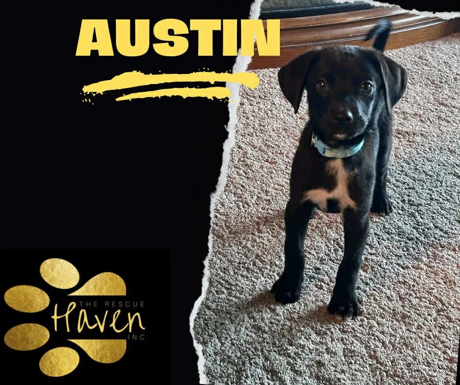 Austin