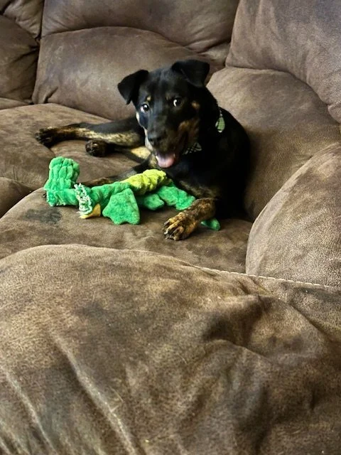 Night 1 Silliness (4).jpeg