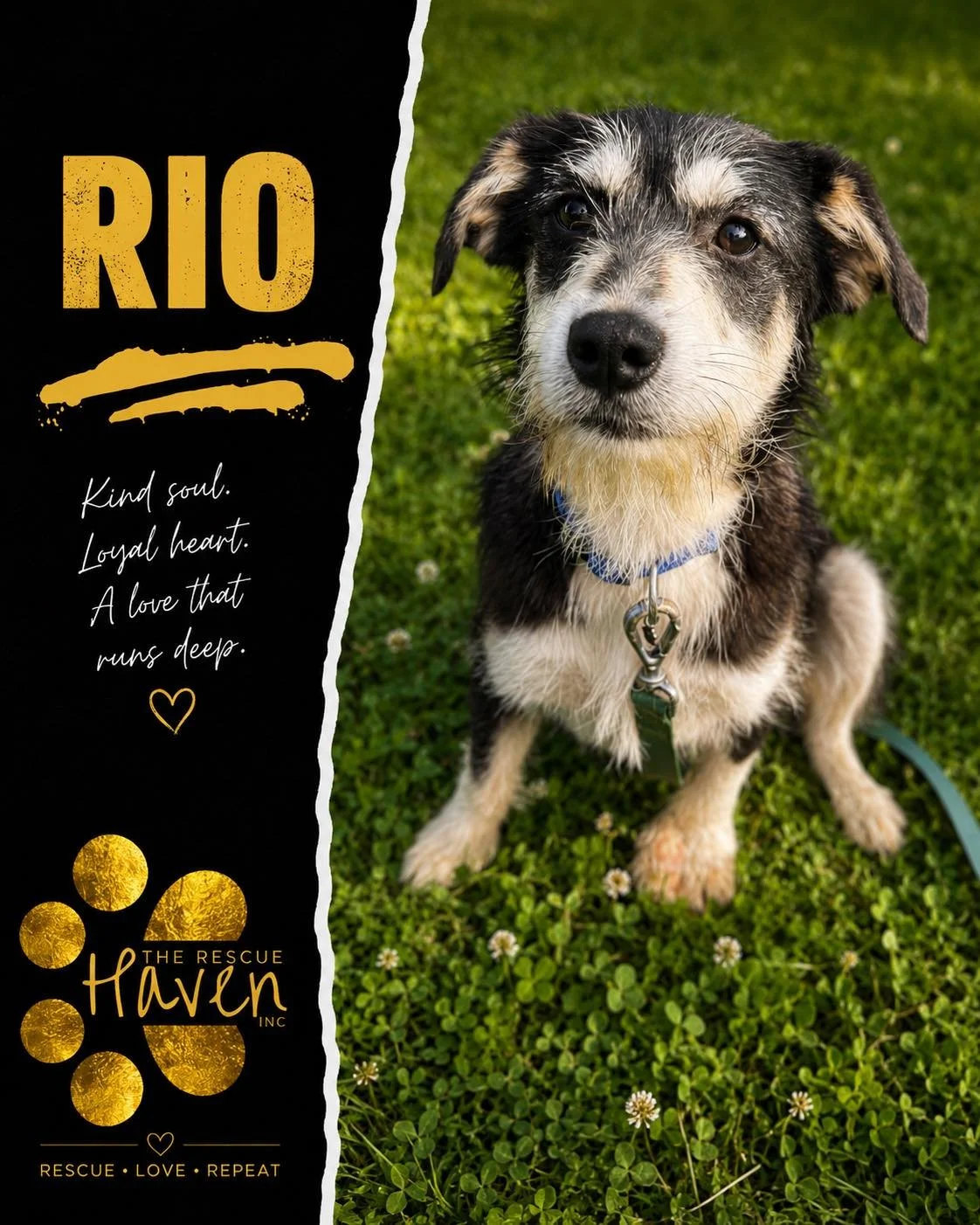 Rio