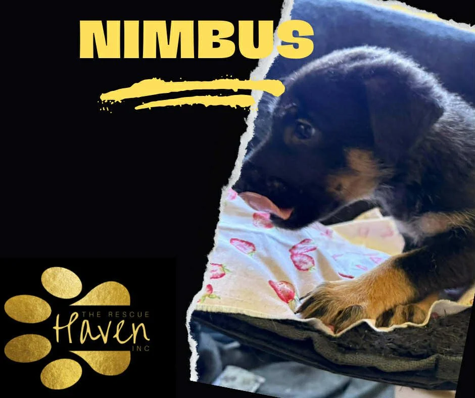 Nimbus
