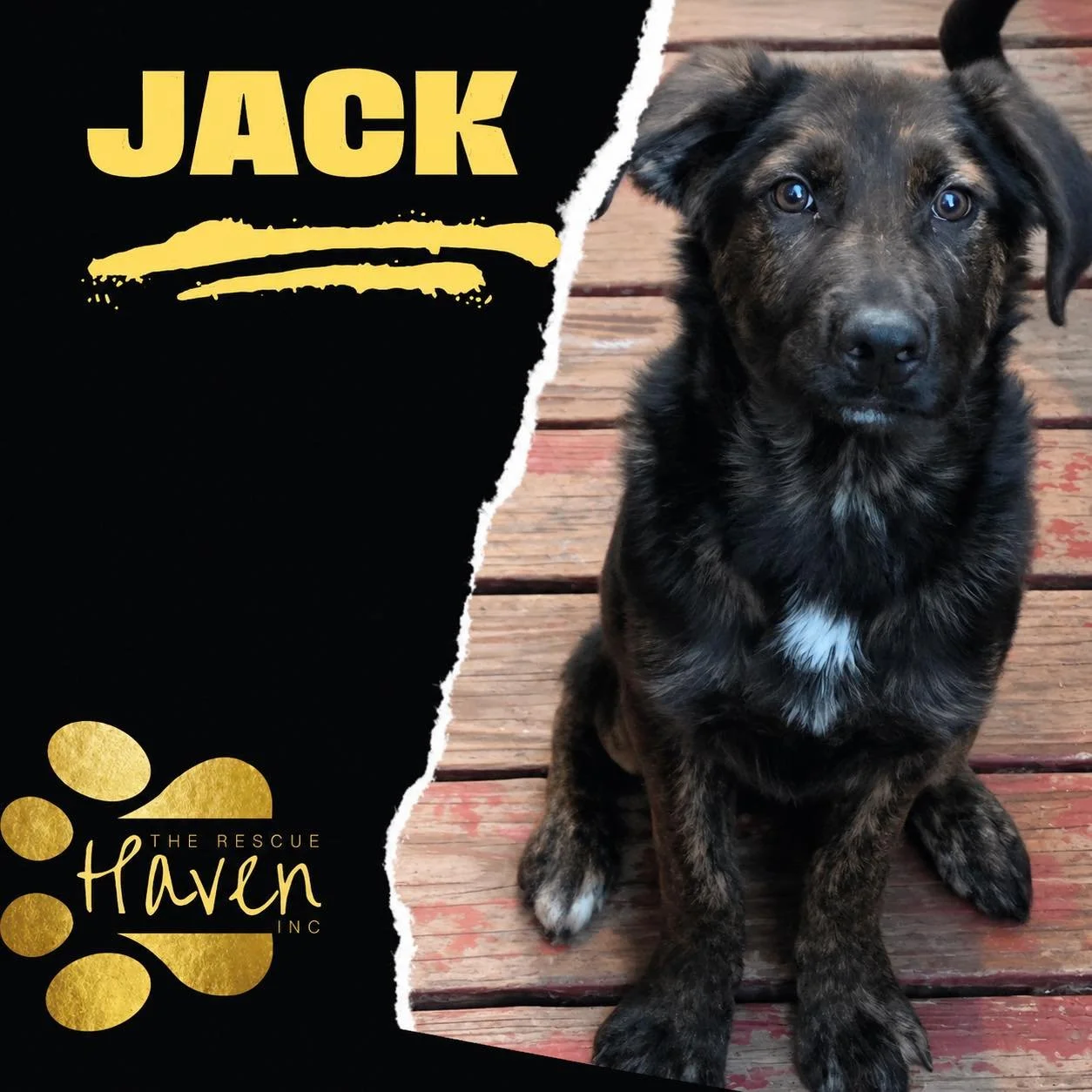 Jack