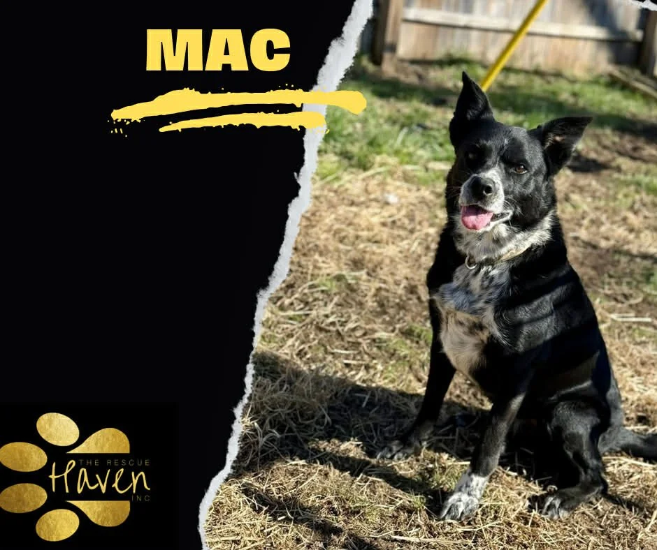 Mac