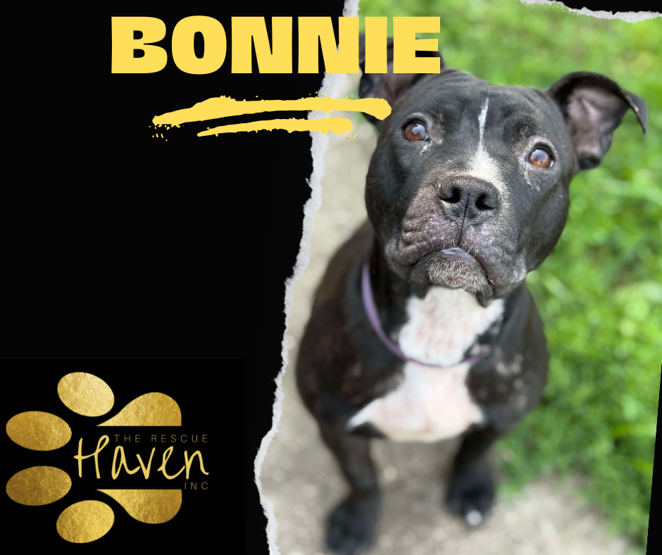 Bonnie