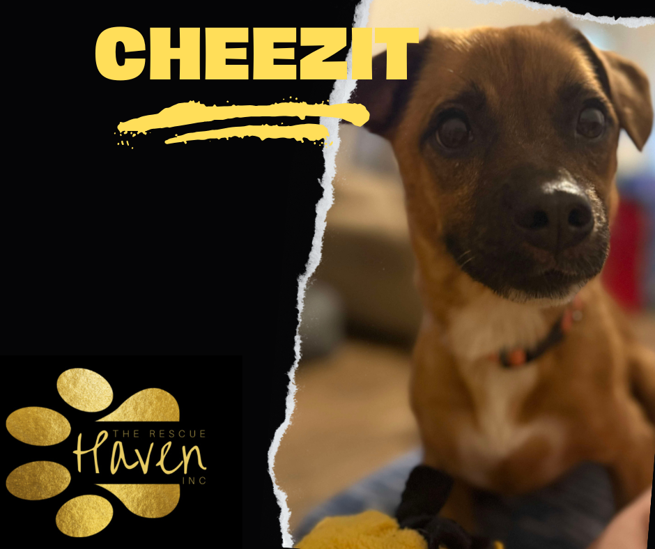 Cheezit