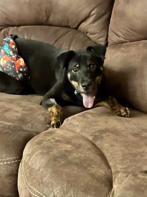 Night 1 Silliness (1).jpeg