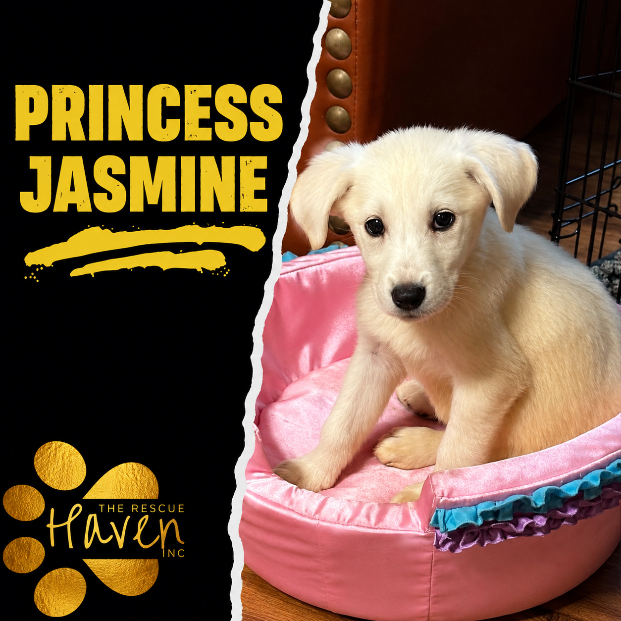 Princess Jasmine