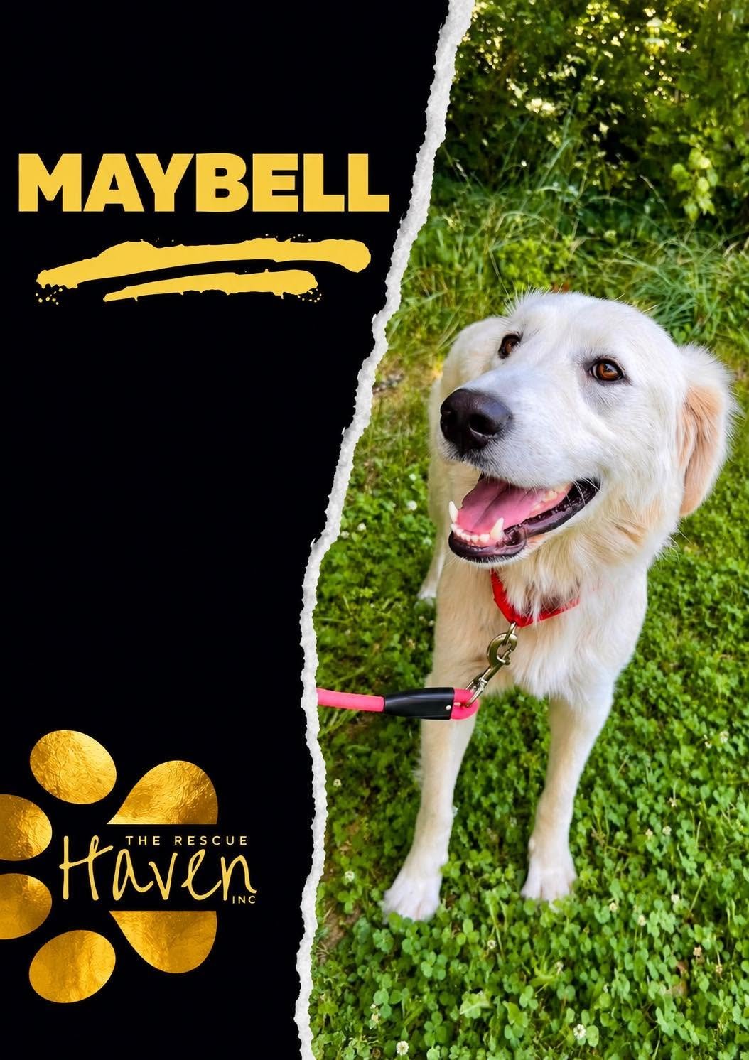 Maybell