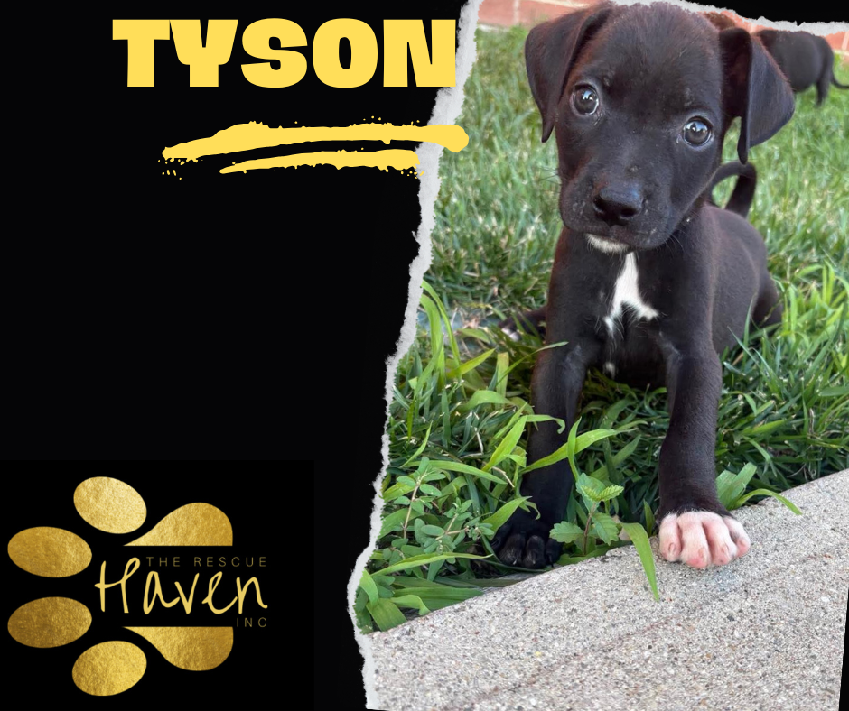 Tyson