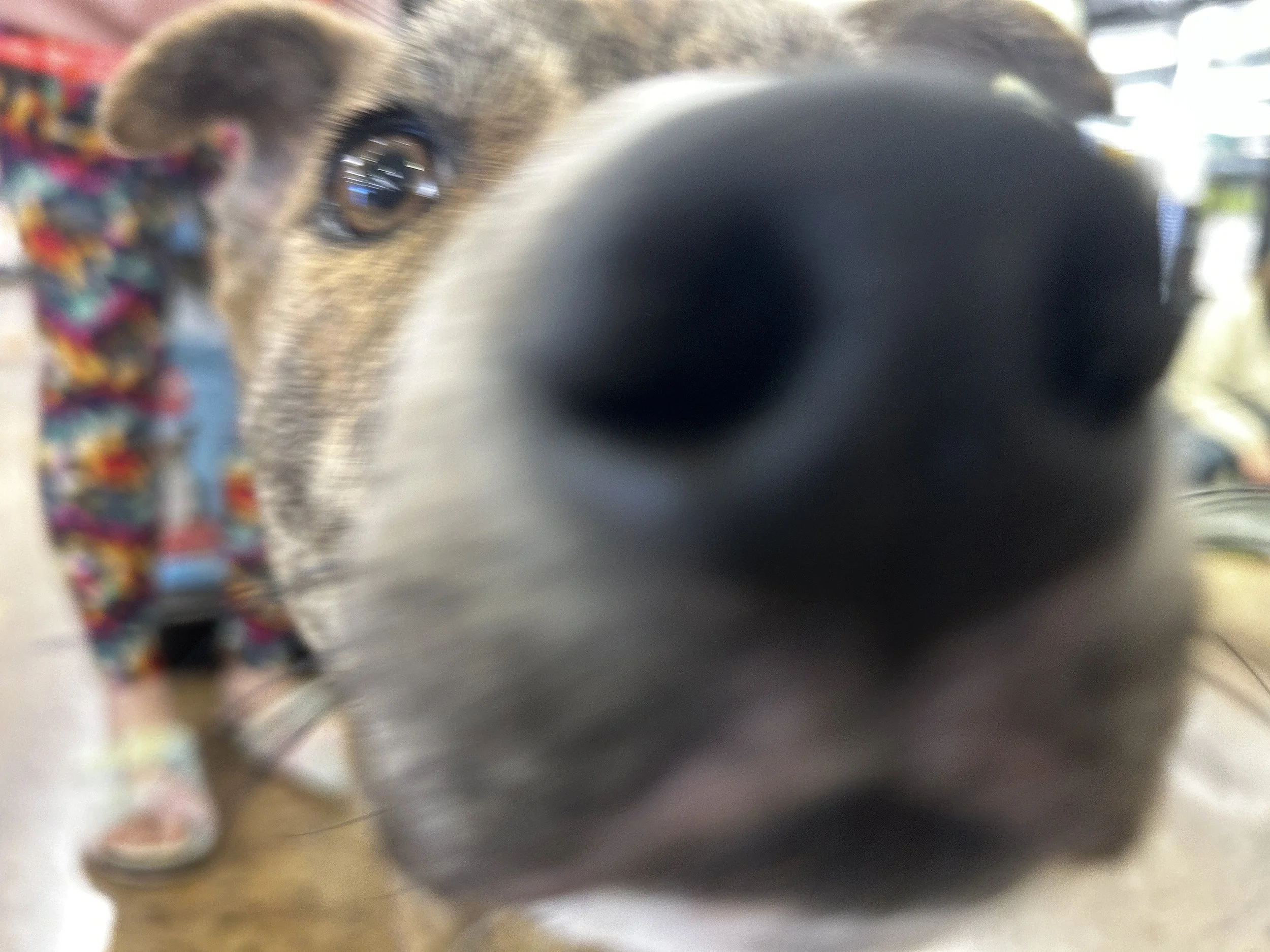 IMG_1404.jpeg