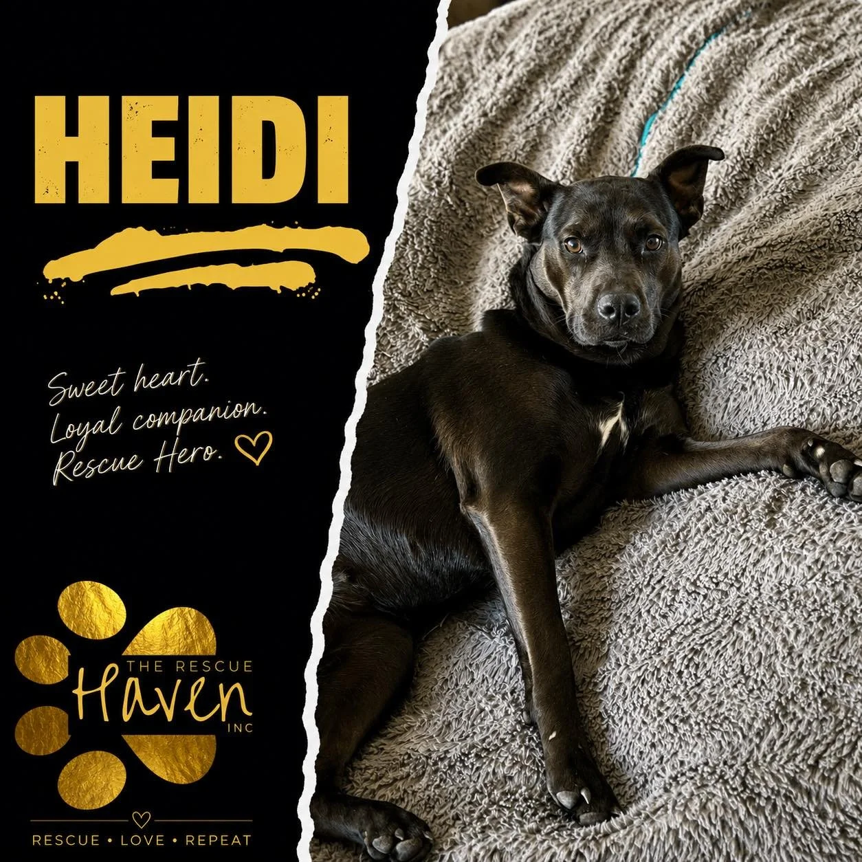Heidi
