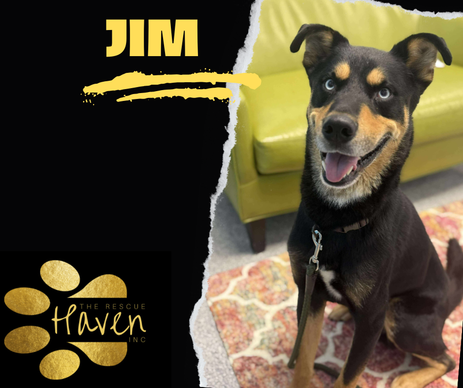Jim