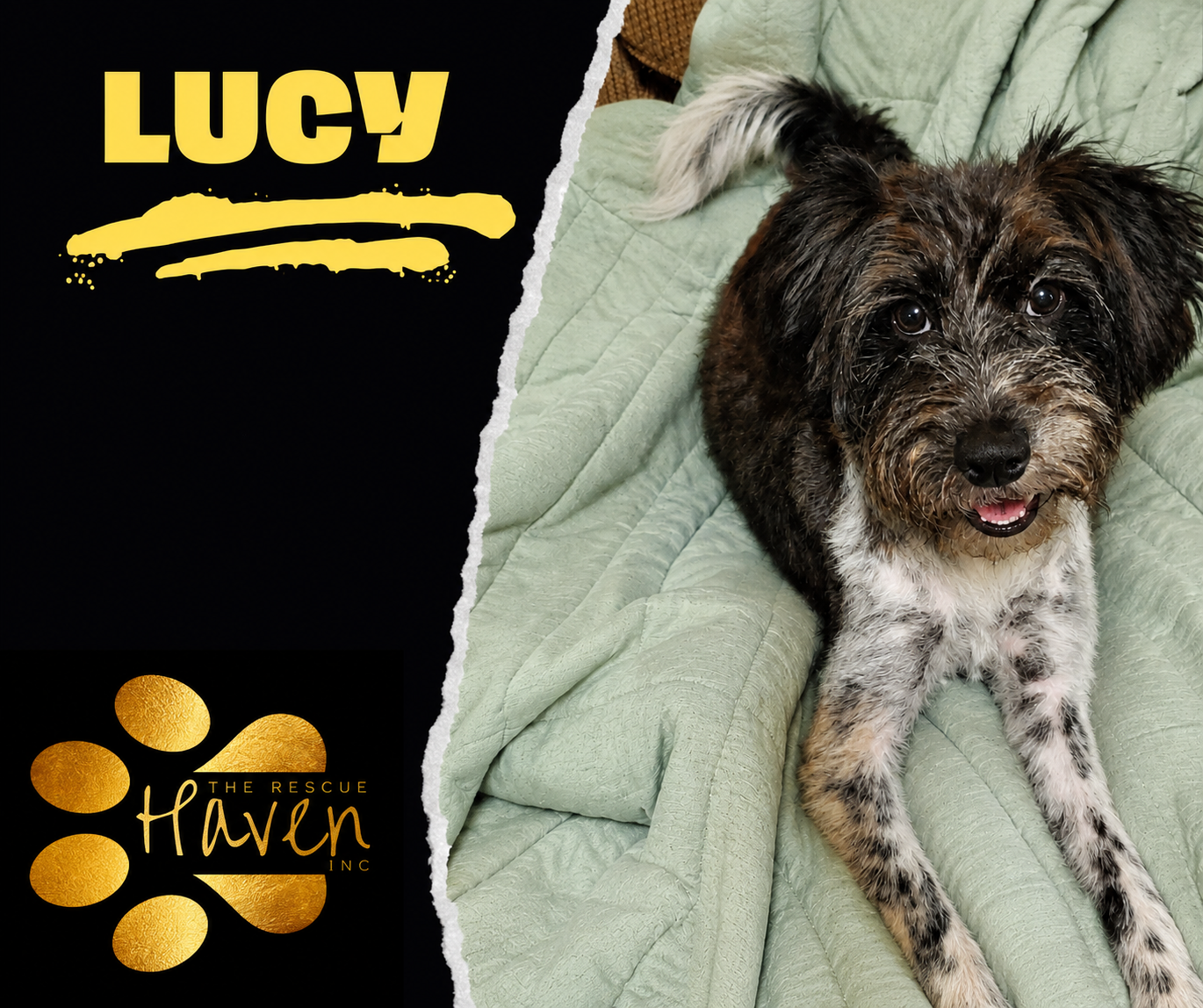 Lucy