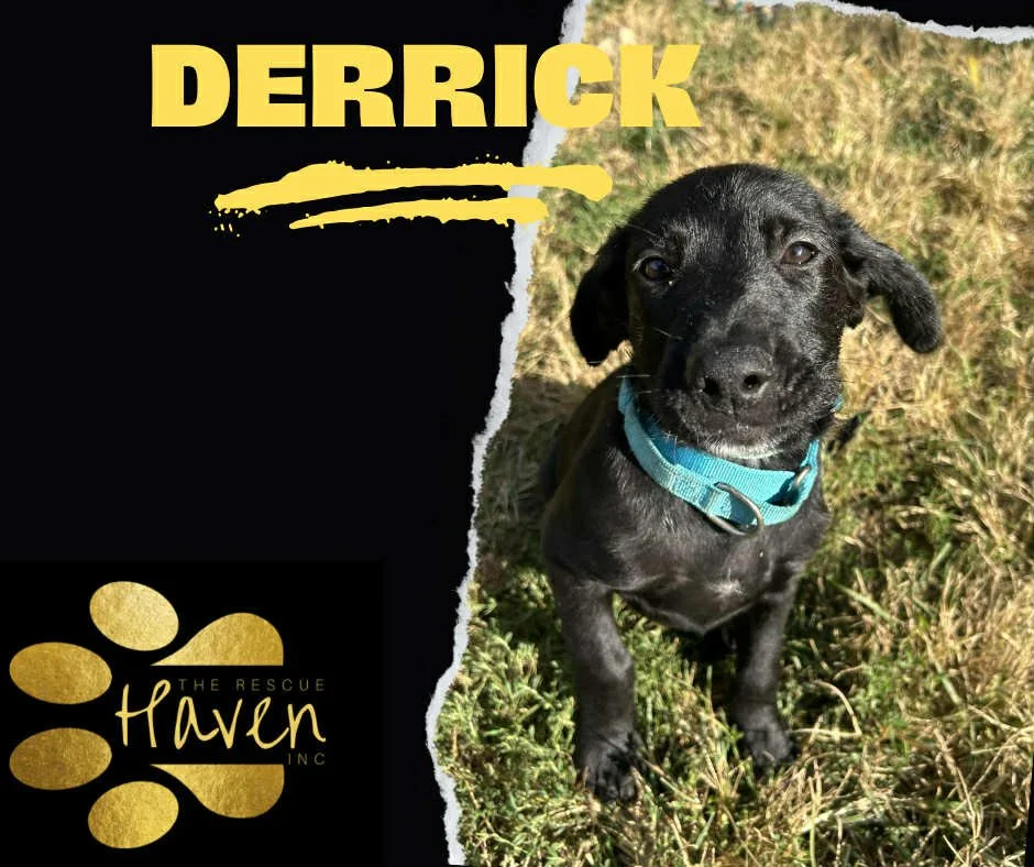 Derrick