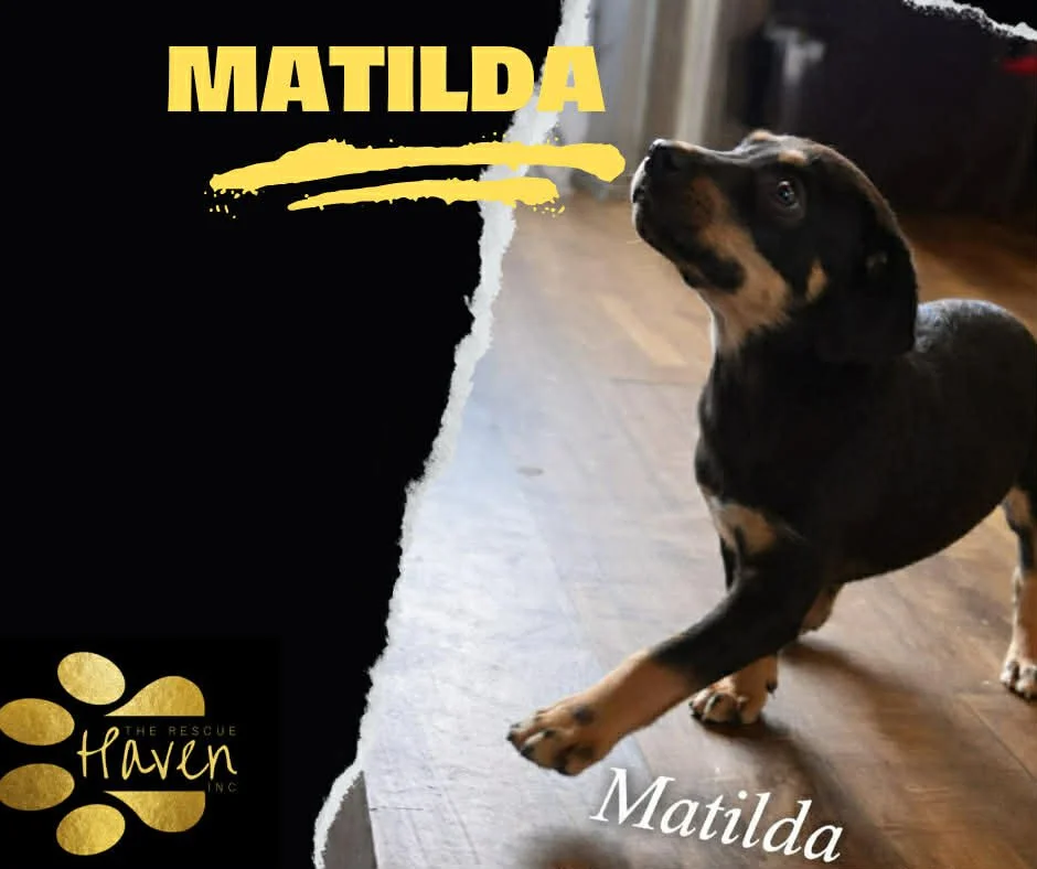 Matilda
