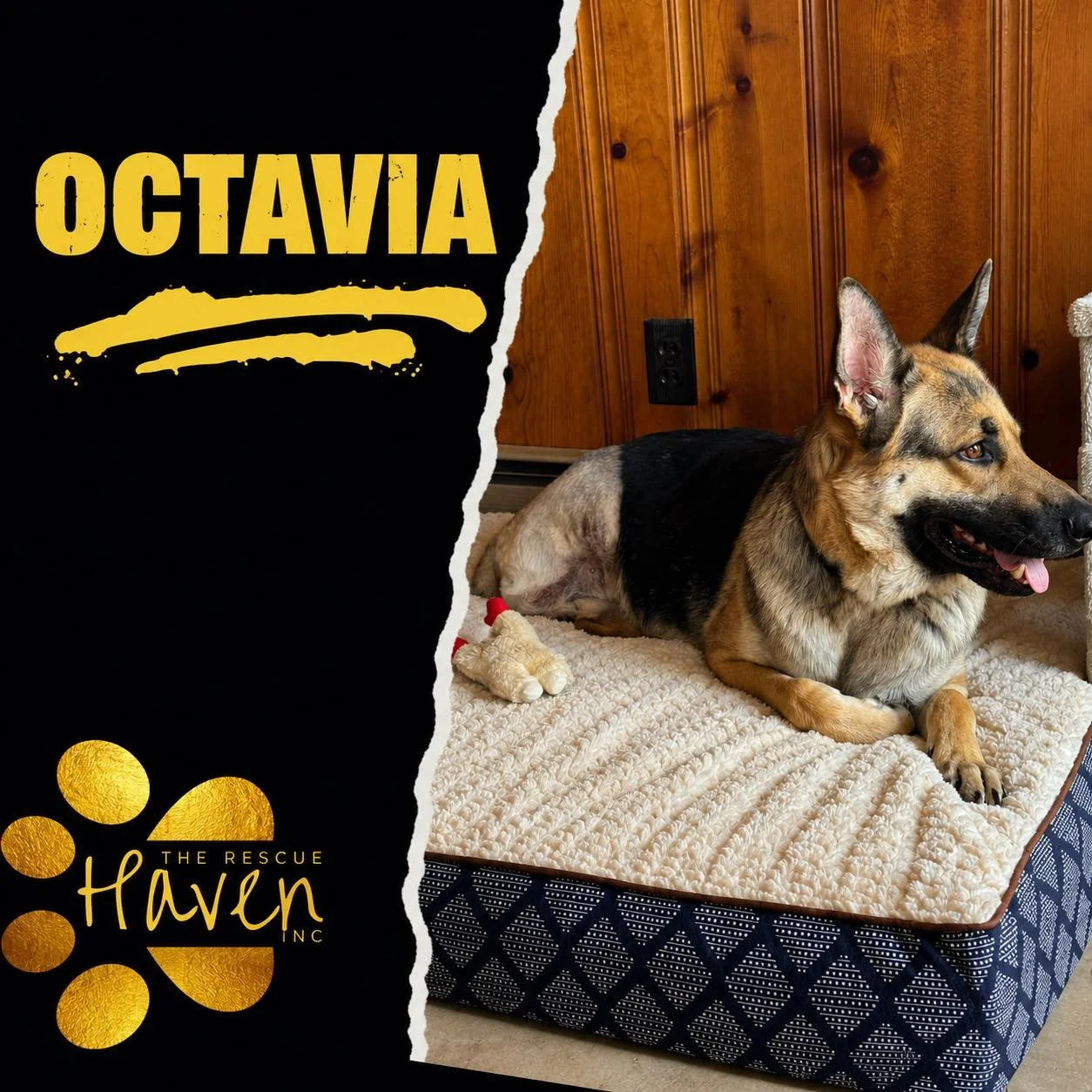 Octavia