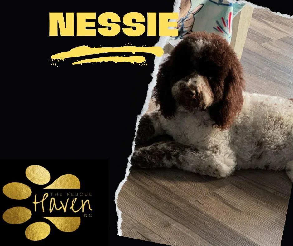 Nessie