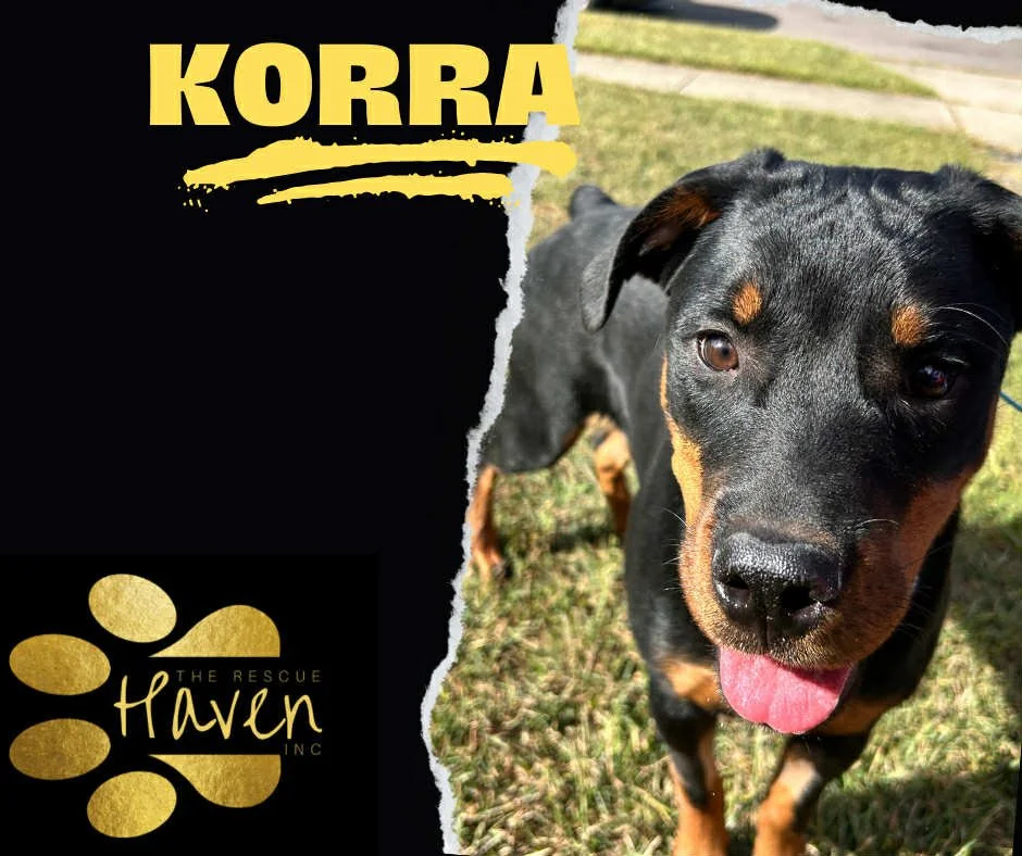 Korra