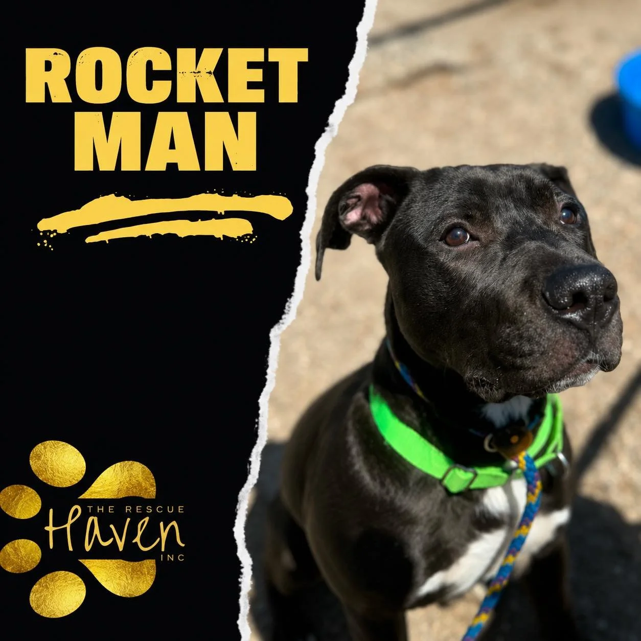Rocket Man