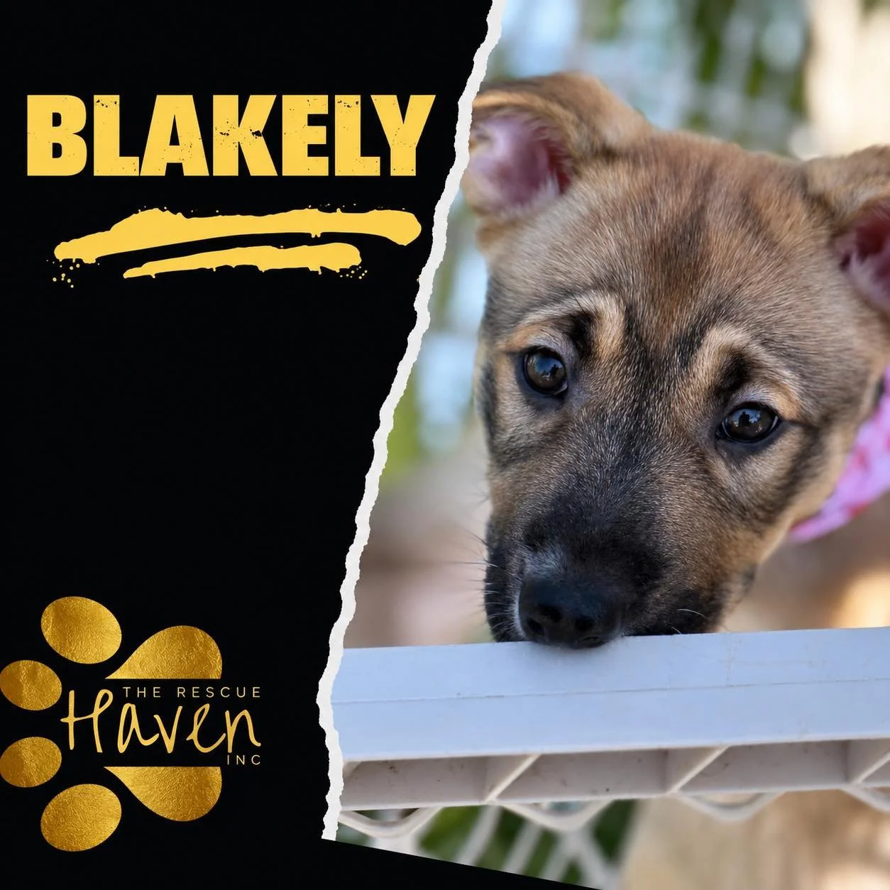 Blakely