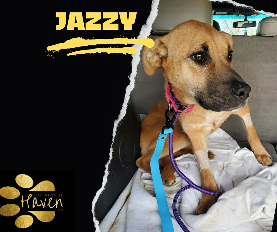 Jazzy