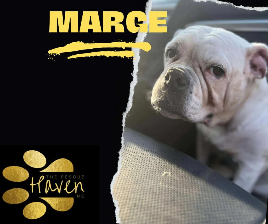 Marge