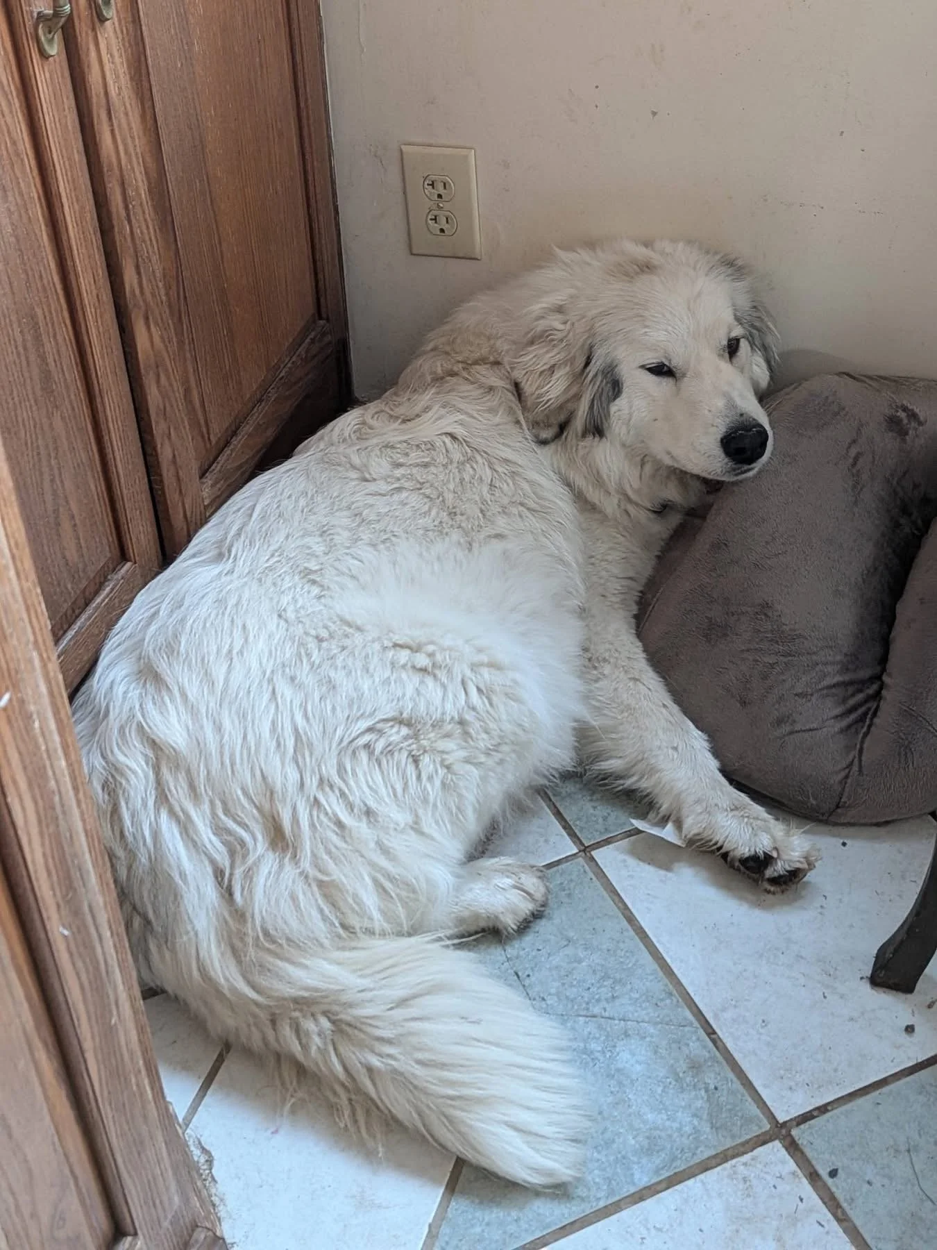 IMG_1794.jpeg