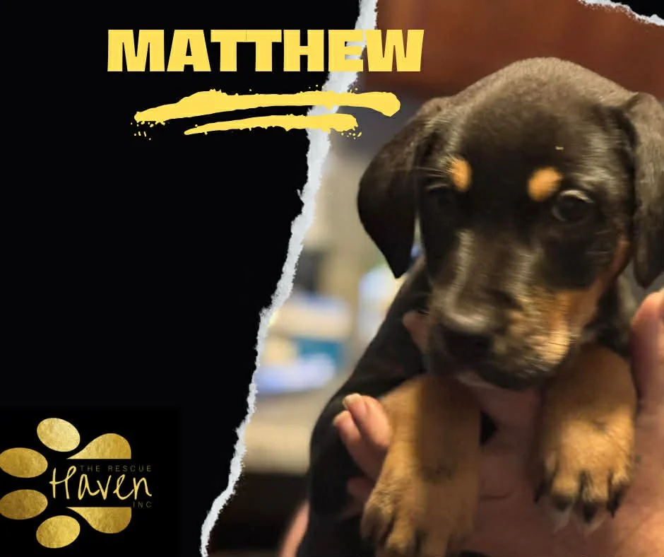 Matthew