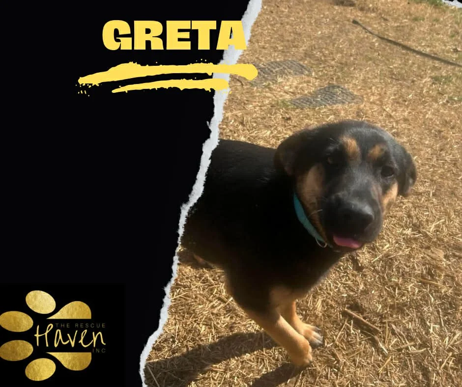 Greta