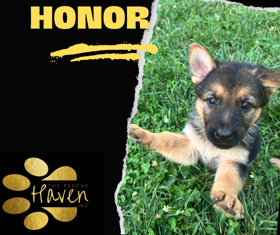 Honor