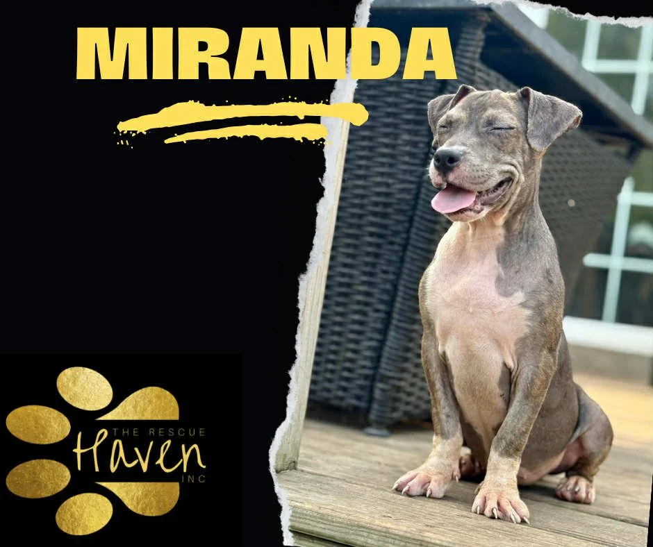 Miranda