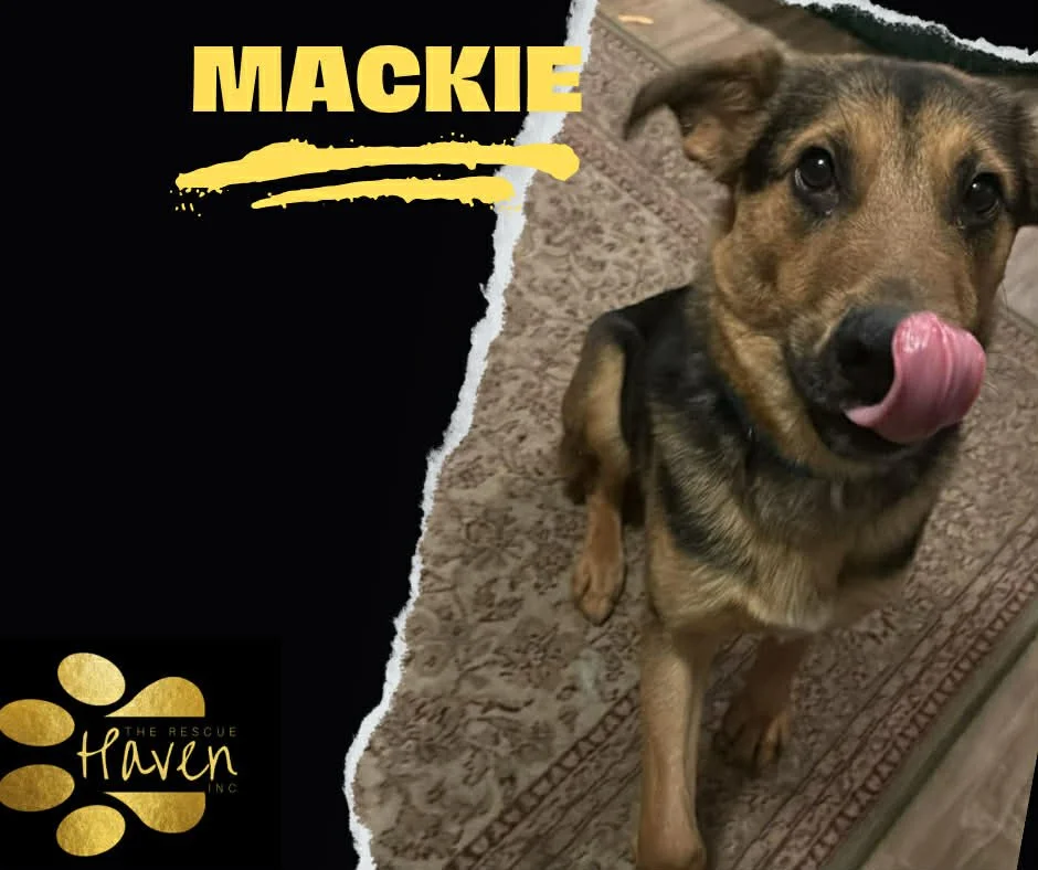 Mackie