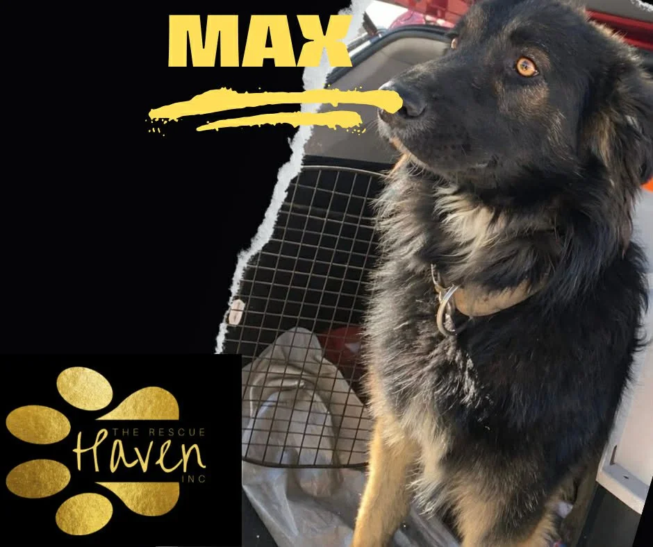 Max