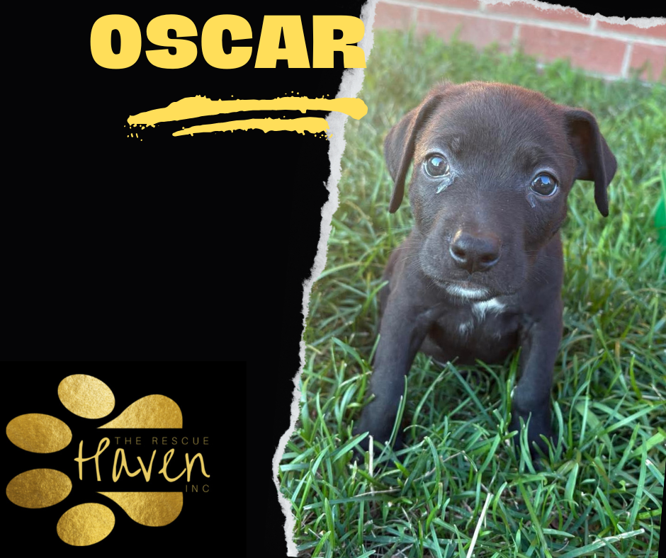 Oscar