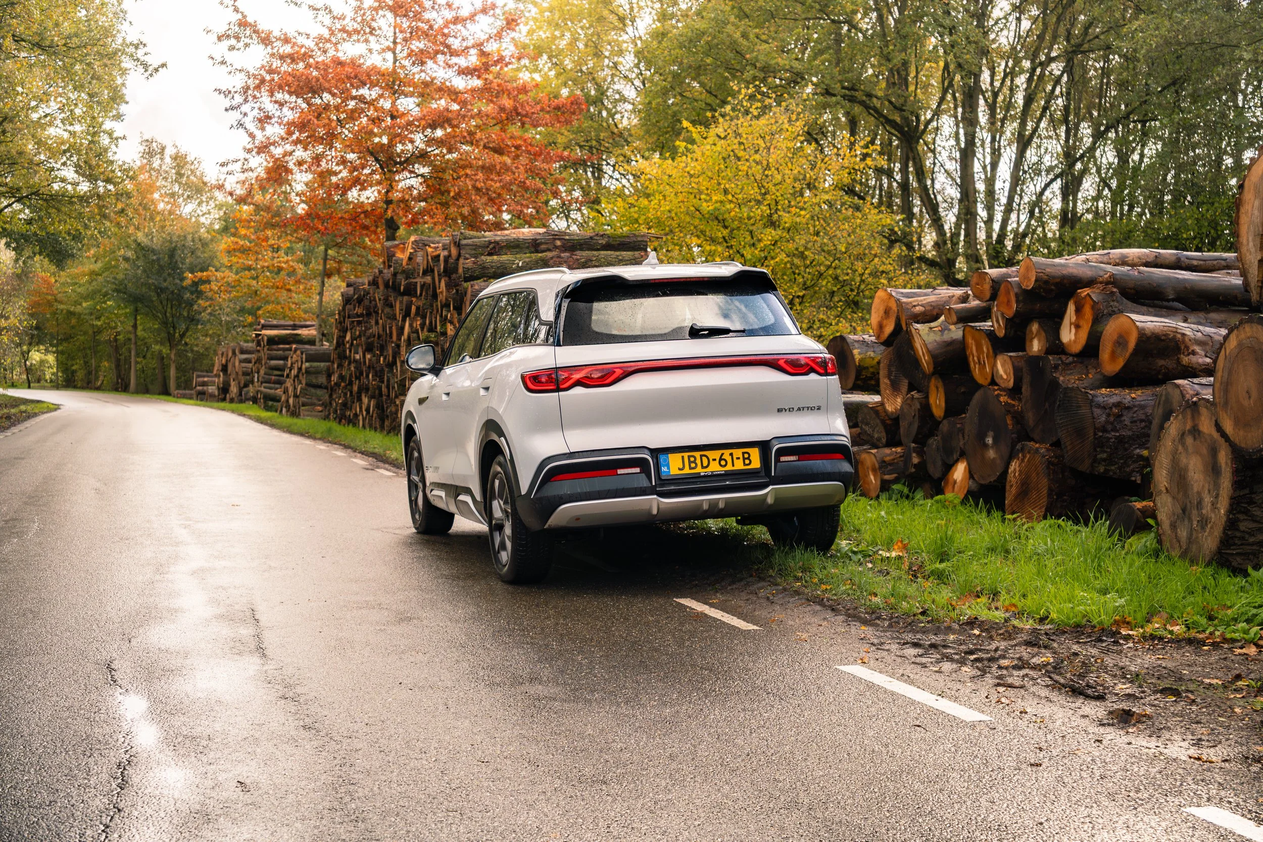 RVP BYD Atto 2-17.jpeg