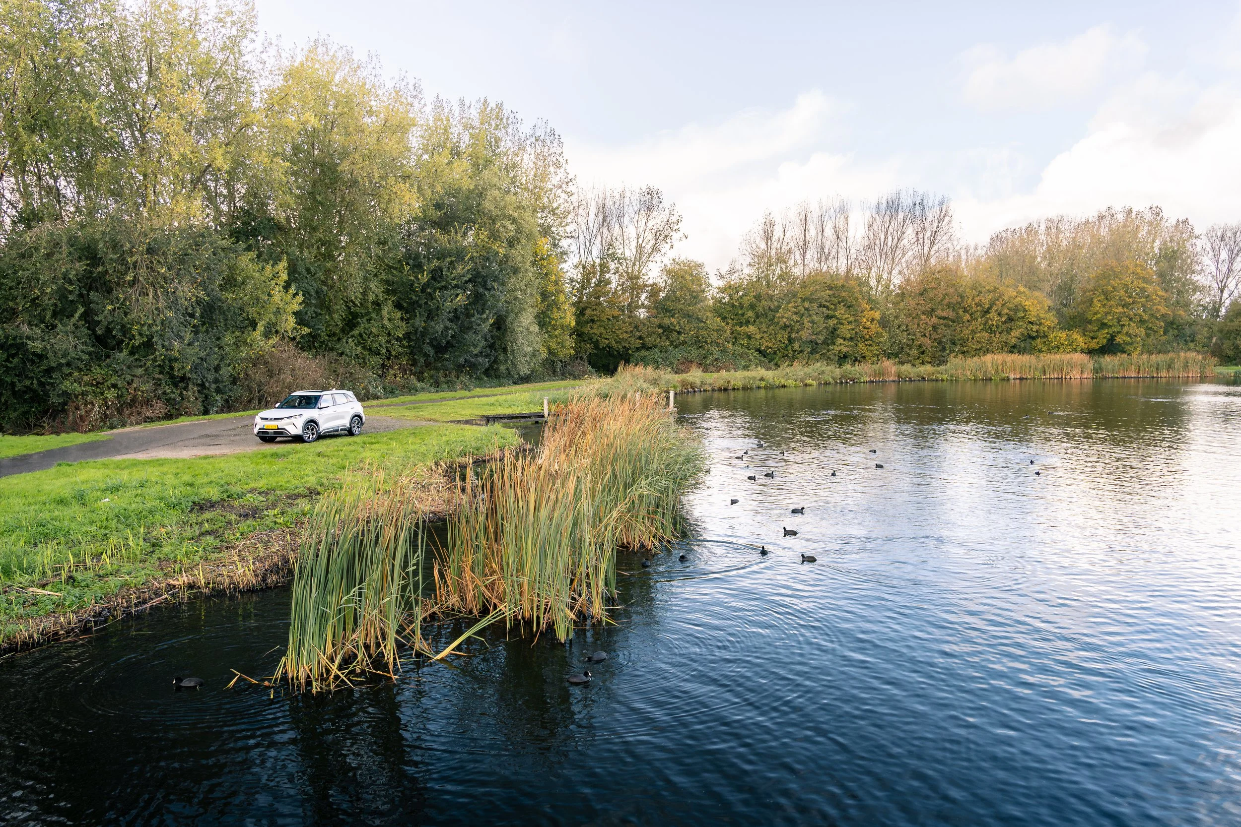 RVP BYD Atto 2-14.jpeg