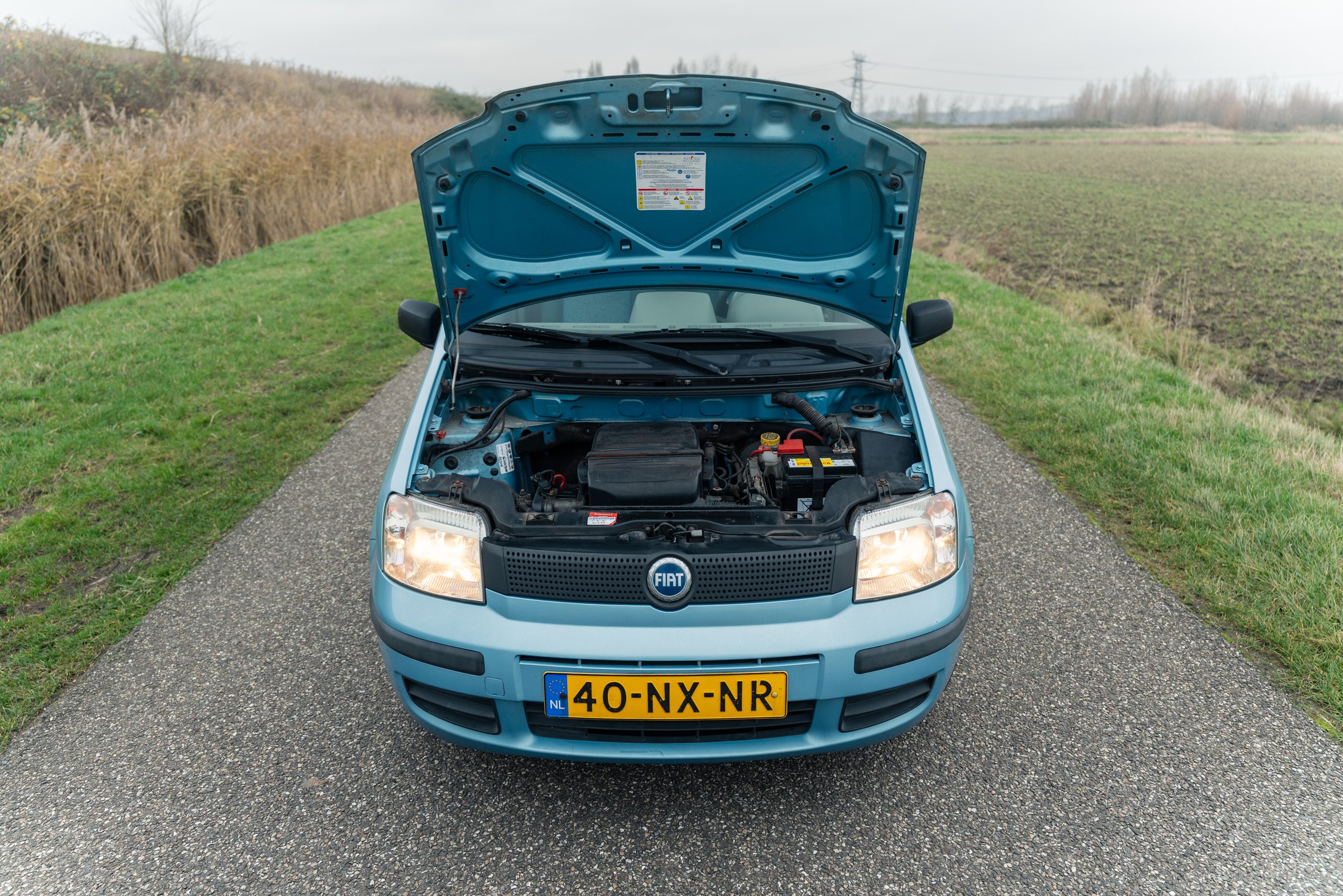 RVP Panda Verkoop-18.jpg