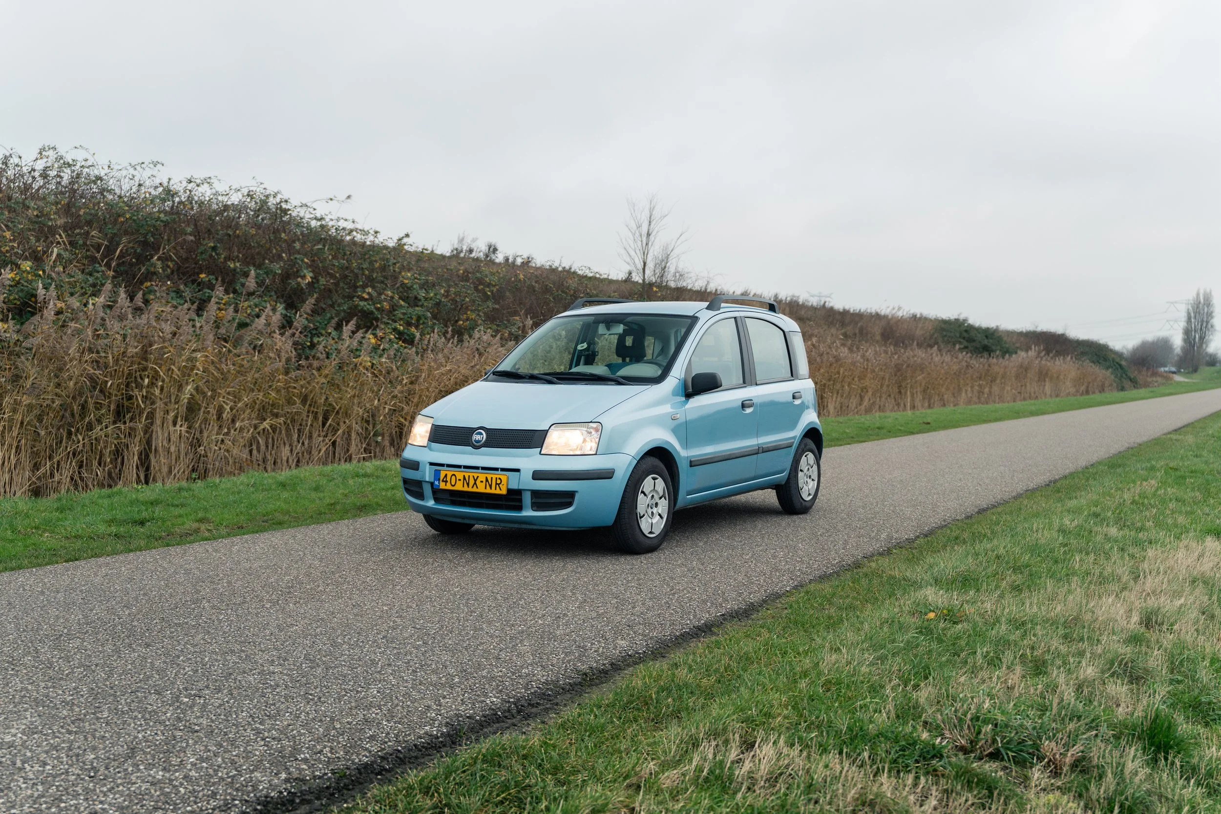 RVP Panda Verkoop-4.jpg