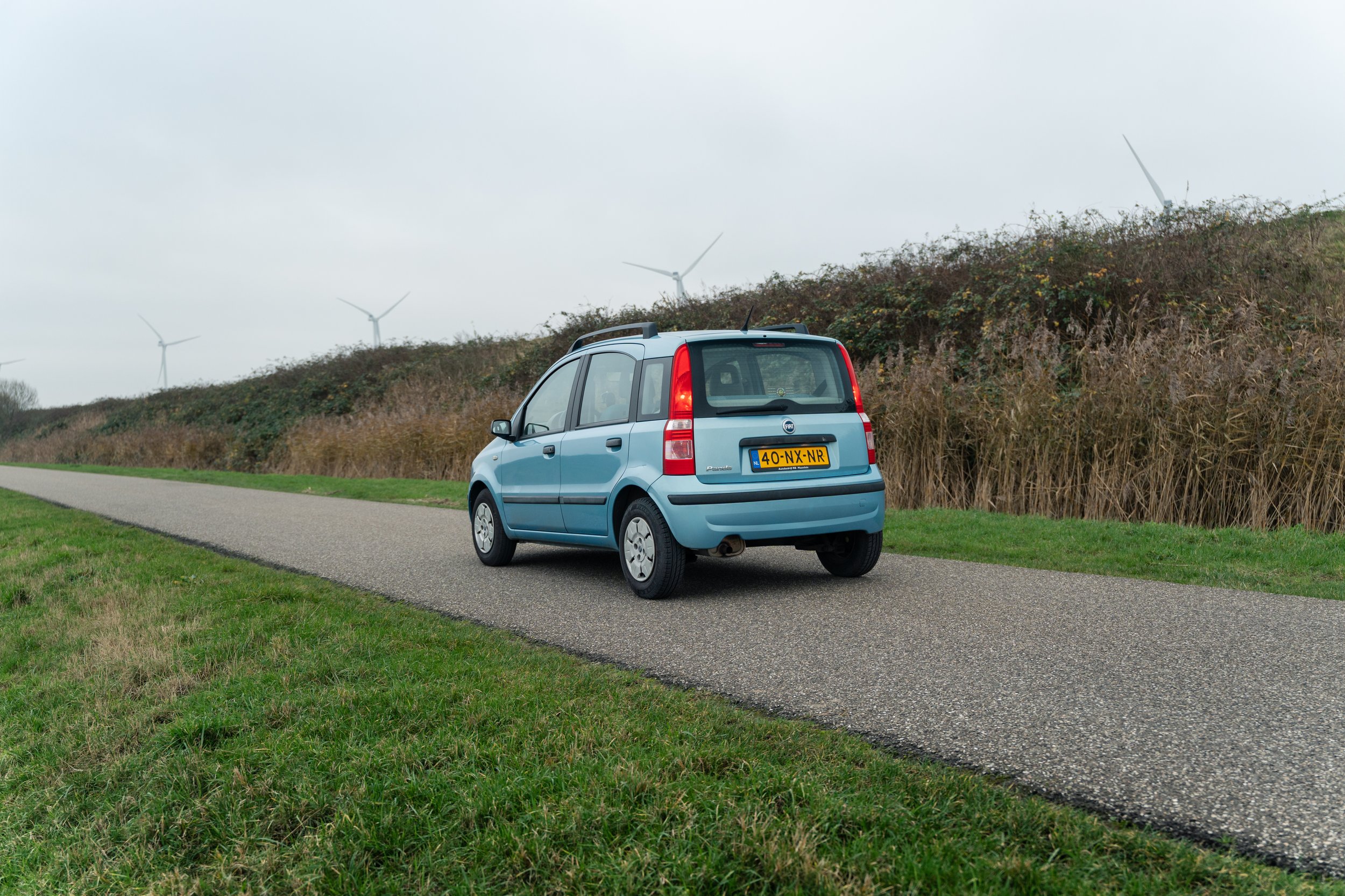 RVP Panda Verkoop-5.jpg