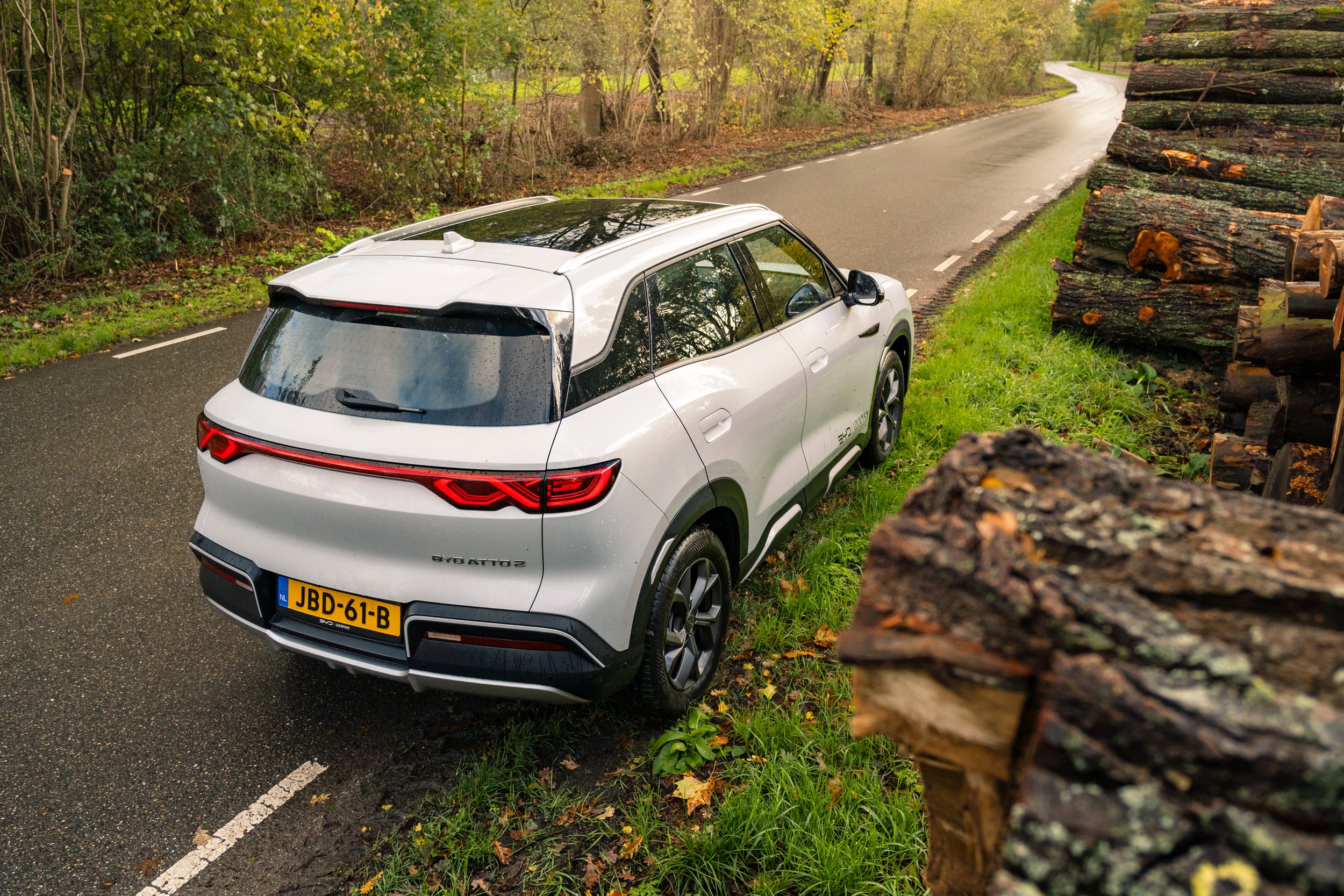 RVP BYD Atto 2-18.jpg