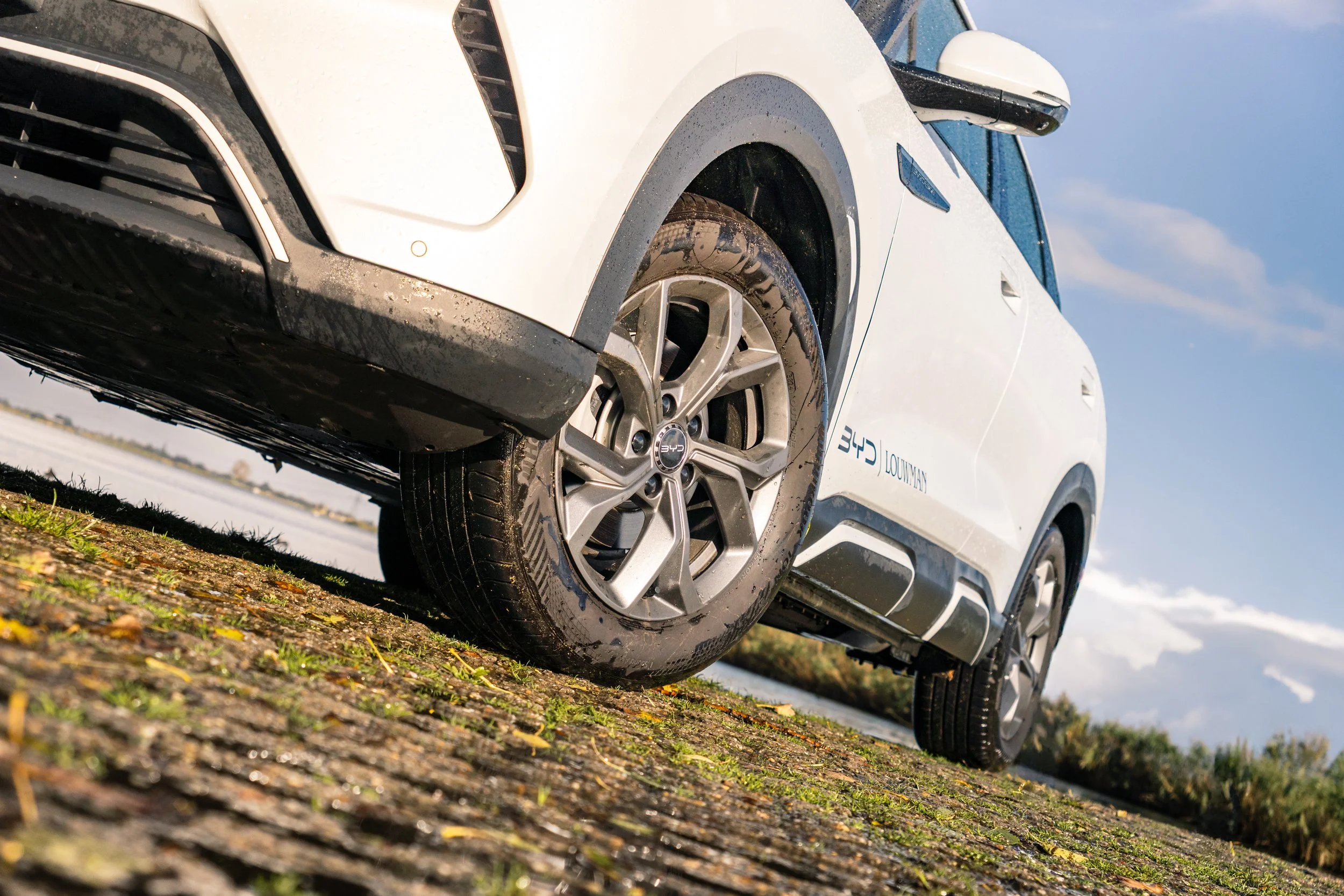 RVP BYD Atto 2-10.jpg