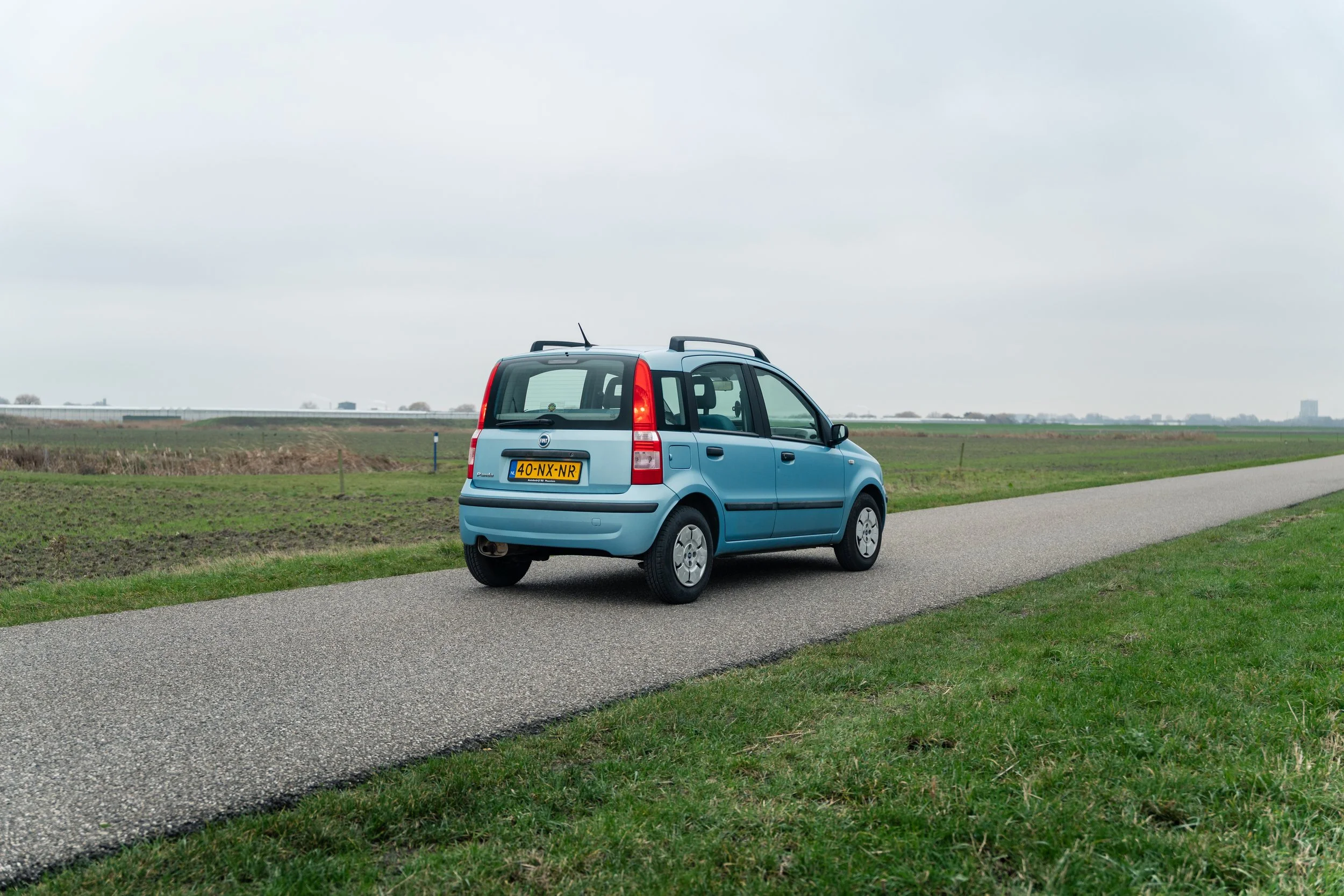 RVP Panda Verkoop-6.jpg