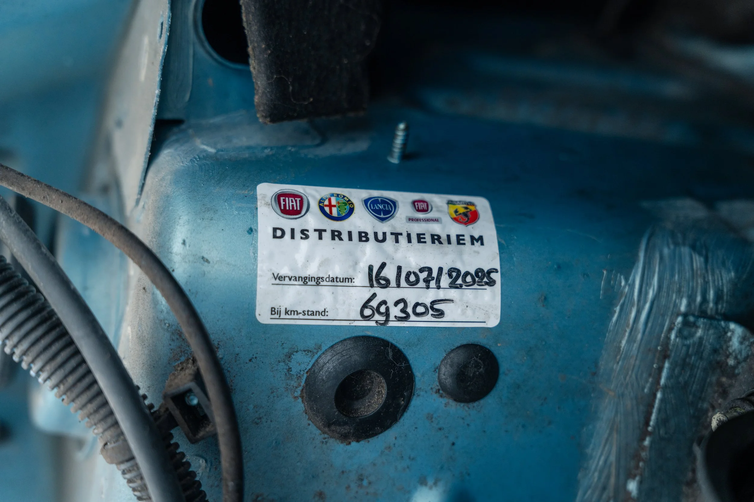 RVP Panda Verkoop-19.jpg