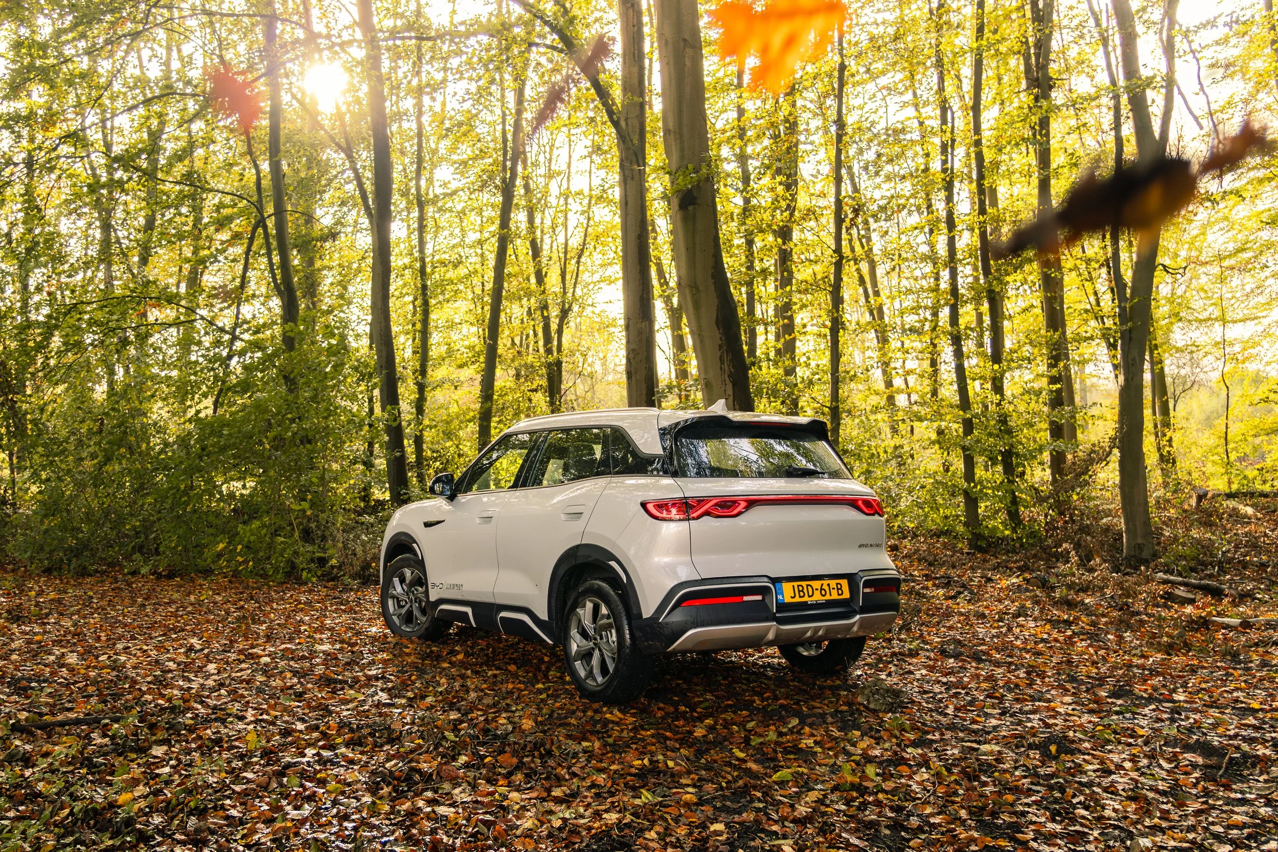 RVP BYD Atto 2-19.jpeg