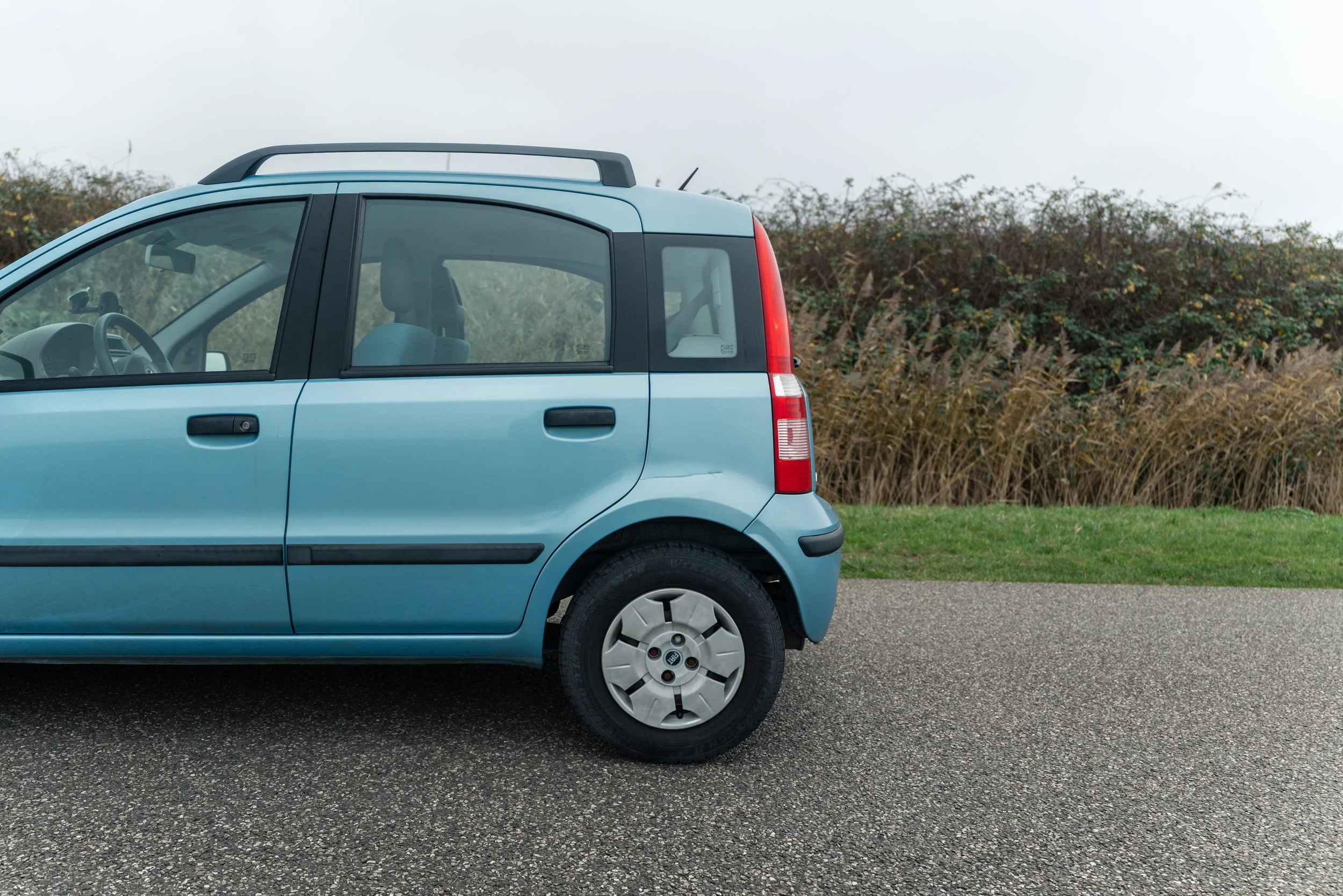 RVP Panda Verkoop-11.jpg