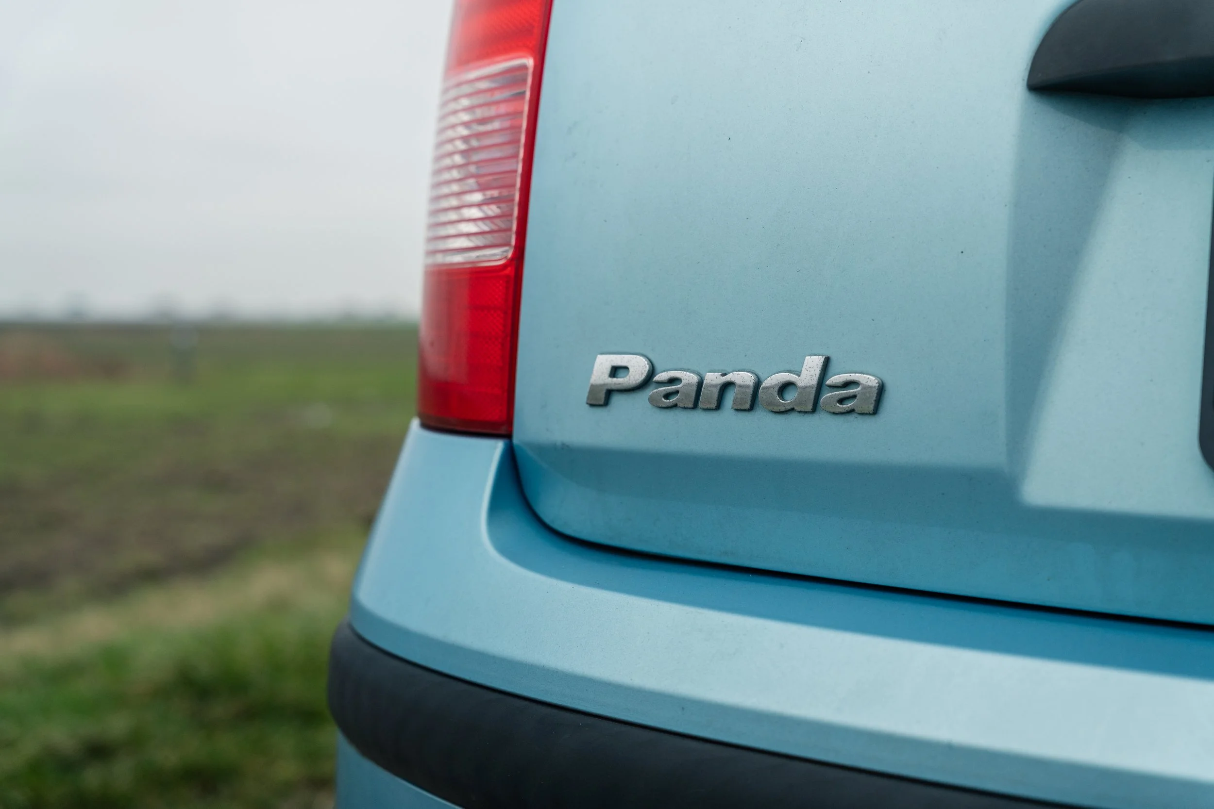 RVP Panda Verkoop-13.jpg