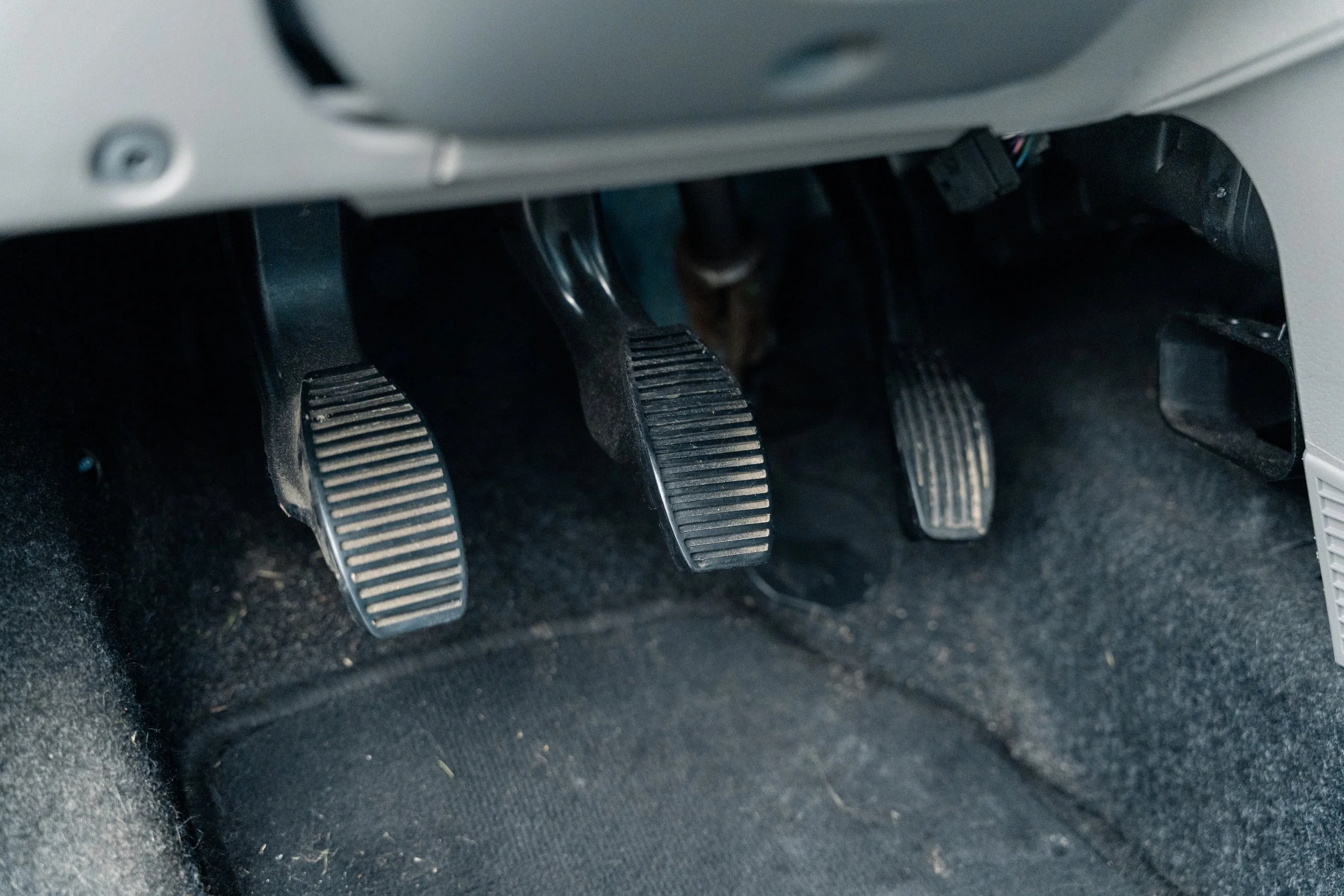 RVP Panda Verkoop-32.jpeg