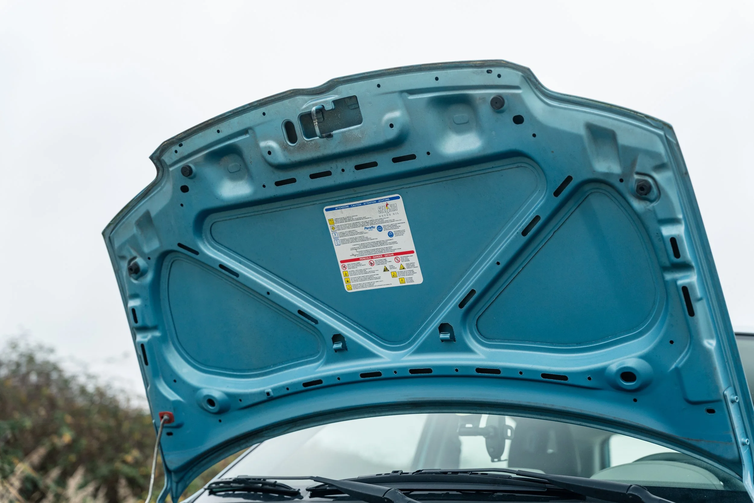 RVP Panda Verkoop-21.jpg