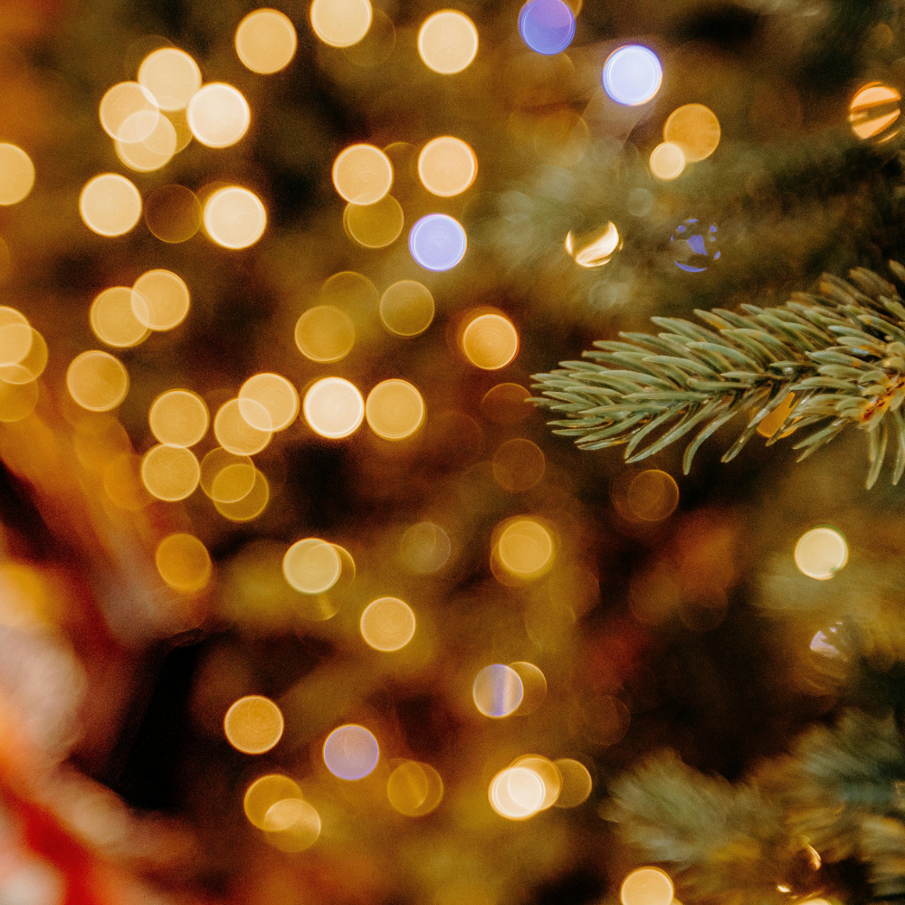 Reflect and Celebrate