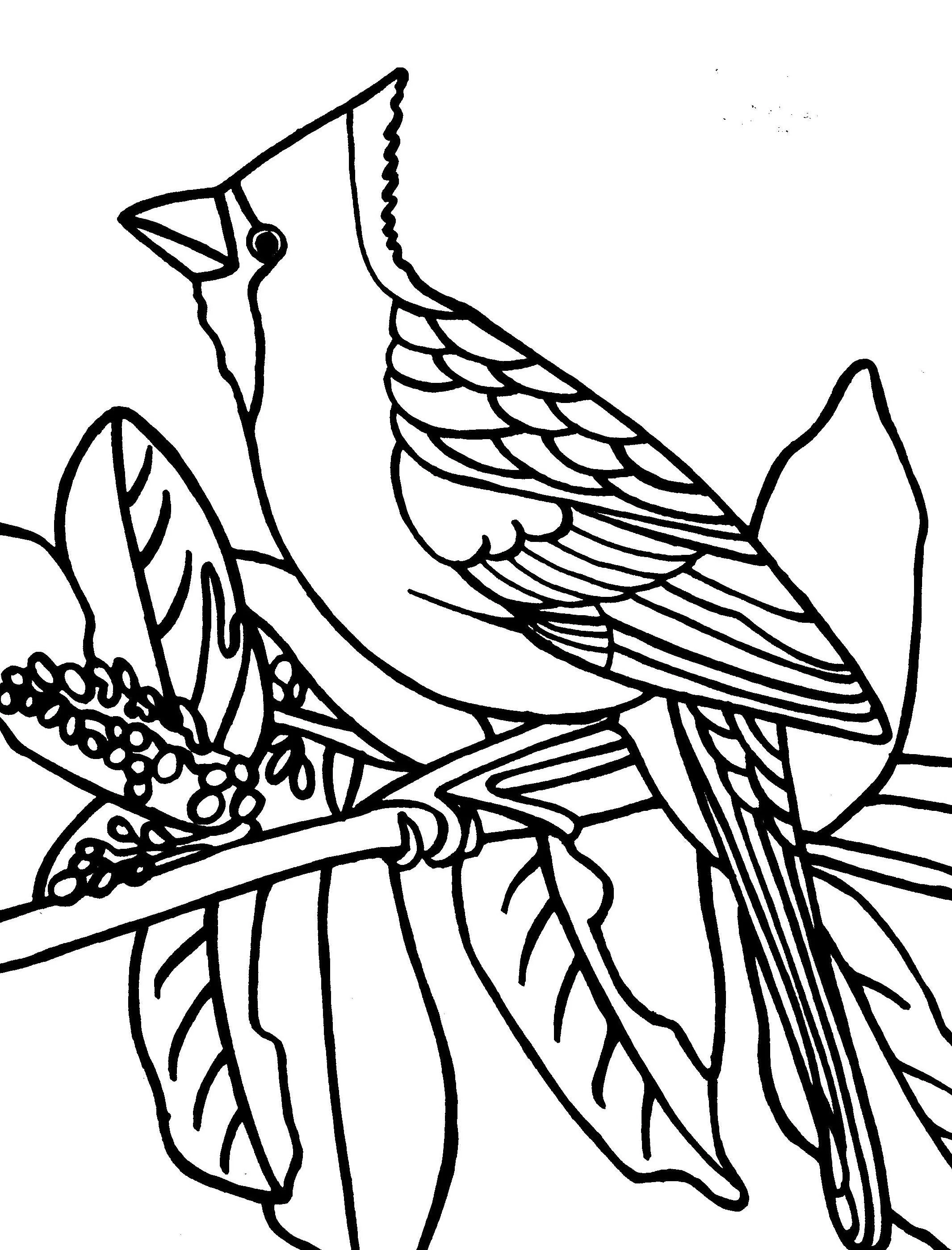 الرسم على الزجاج 006.jpg